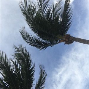 Meet your Posher, Hailey